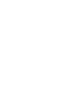 Pin White