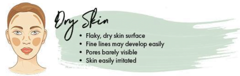 dry skin type