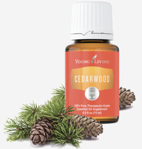 Cedarwood 