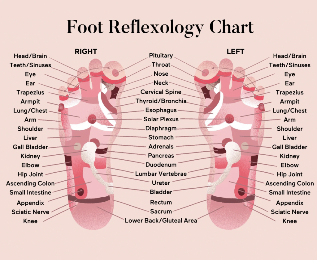 Foot reflexology chart, Foot Reflexology Guide