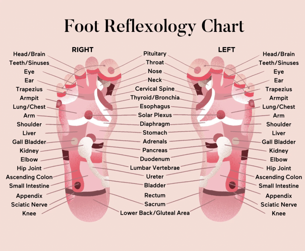 Everything You Need To Know About Foot Reflexology Zylu