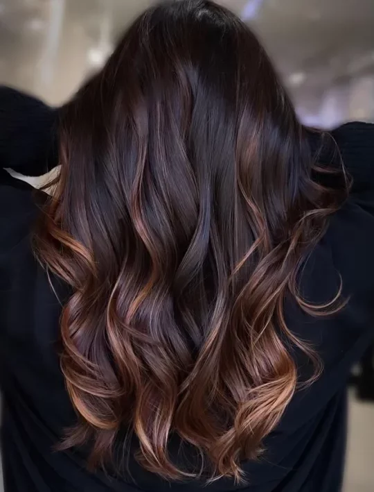 Which hair dye should i use to get my black hair to this color? without  bleach? : r/femalehairadvice